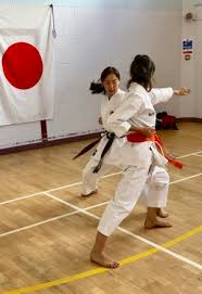Image result for Windsor Karate Club