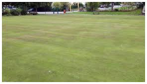 Image result for Thorne Colliery Crown Green Bowling Club