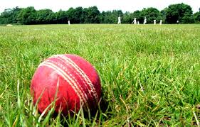 Image result for Harrogate Cricket Club