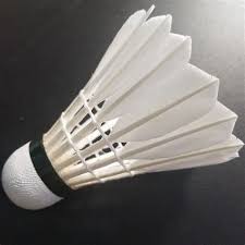 Image result for Harrow Leis Ctr Badminton Club