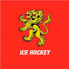Image result for Birmingham University Lions