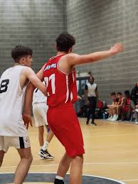 Image result for Arrows Basketball Club