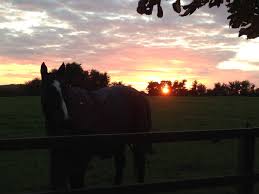 Image result for Inglesham Polo Centre