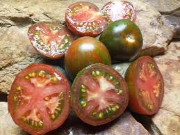 Afbeeldingsresultaat voor debarro black tomato