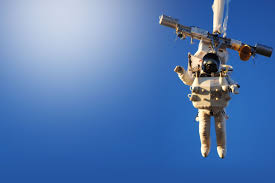 Image result for Paragon Skydiving