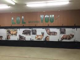 Image result for Old Oundle Bowman Archery Club