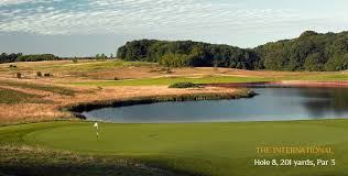 Image result for Central London Golf Club