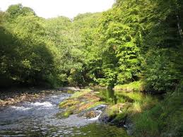 Image result for Dulverton Cc