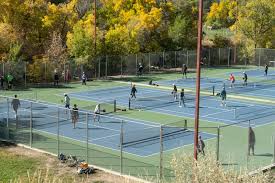 Image result for PICKLEBALL GORLESTON