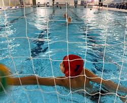 Image result for Basingstoke Bluefins Water Polo Club