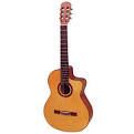 http://www.musicinstruments.in/imagess/Pluto%2520Classical%2520Guitar.jpg
