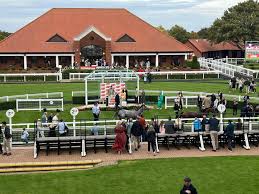 Image result for Westoning Recreation Netball Club