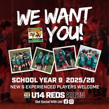 Image result for Halton Farnworth Hornets A R L F C