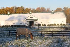 Image result for Lower Farm Stables