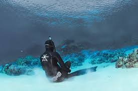 Image result for Blue Water Freediving School