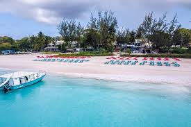 Image result for Harbour Lights Snorkelling Club (HLSC)