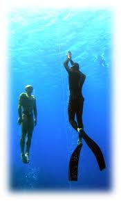 Image result for Blue Water Freediving School
