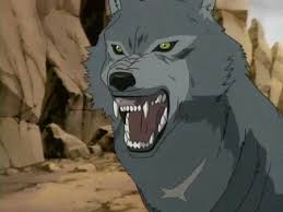 Wolf's Rain - Página 2 Images?q=tbn:ANd9GcQxF1TEq4-Wvg_9_cSmw1vc5sLLbTexc1YnCD4hA44pcDj2eONF4g