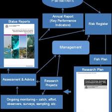 Image result for Furgaleus macki