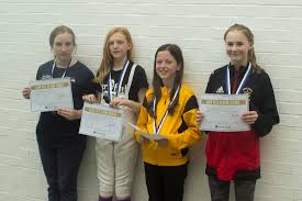 Image result for Bath Sword Club