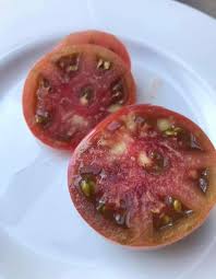 Afbeeldingsresultaat voor carbon tomato