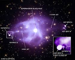 Attēlu rezultāti vaicājumam “Cygnus”