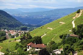 Image result for rôtie