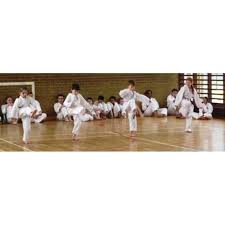 Image result for Harpenden JKA Karate Club