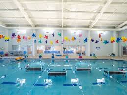 Image result for Brighton Swimming Club