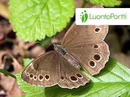 Attēlu rezultāti vaicājumam “Lopinga achine underside”