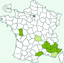 Attēlu rezultāti vaicājumam “Catoptria fulgidella”