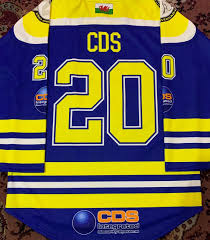 Image result for Llantwit Lions