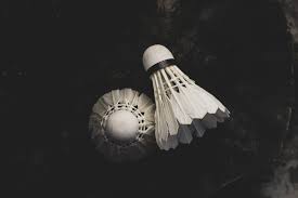 Image result for Parkside (Aldershot) Badminton Club