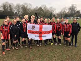Image result for Hassocks Ladies FC