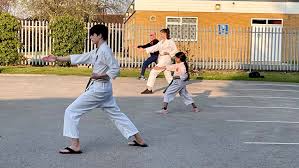 Image result for Haxby karate club