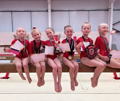 Image result for City Of Cambridge Gymnastics Club
