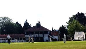 Image result for Chew Magna Cricket Club