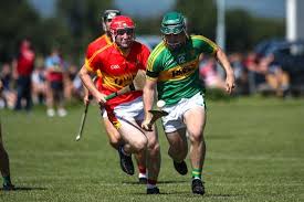 Image result for Moycarkey-Borris Gaa Club