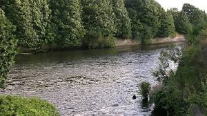 Image result for Irlam Cc