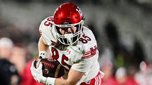 Image result for Ut Cougars