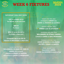 Image result for Rolleston Cricket Club