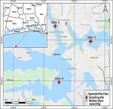 Image result for Chelon dumerili