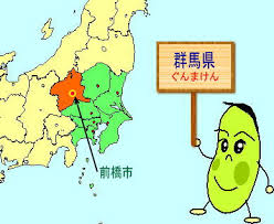 Image result for 群馬県