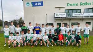 Image result for Patrick Sarsfield Gaelic Athletic Club