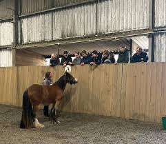 Image result for South Weylands Equestrian