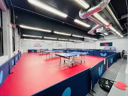 Image result for B N C A Table Tennis Club