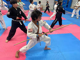 Image result for Valentin Karate