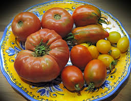 Afbeeldingsresultaat voor voyage tomato