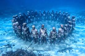 Image result for TAL Divers