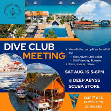 Image result for Abyss Dive Club